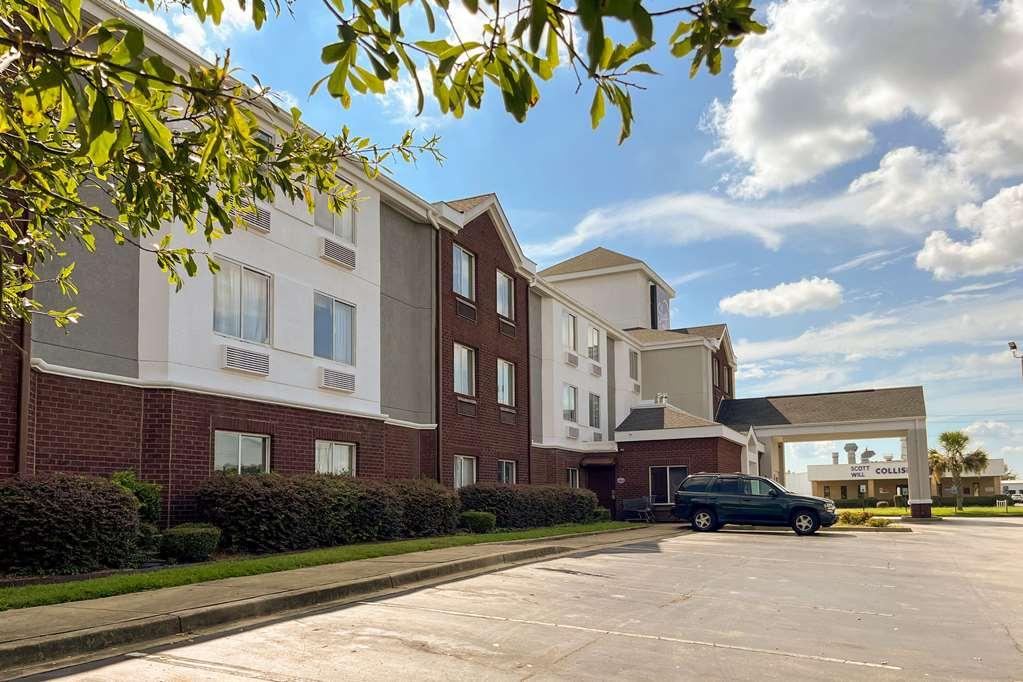 Sleep Inn Sumter Ngoại thất bức ảnh