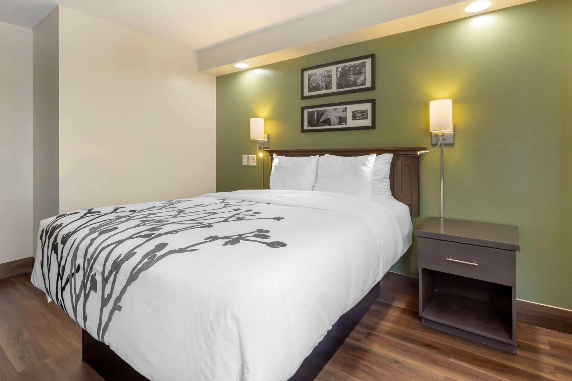 Sleep Inn Sumter Ngoại thất bức ảnh