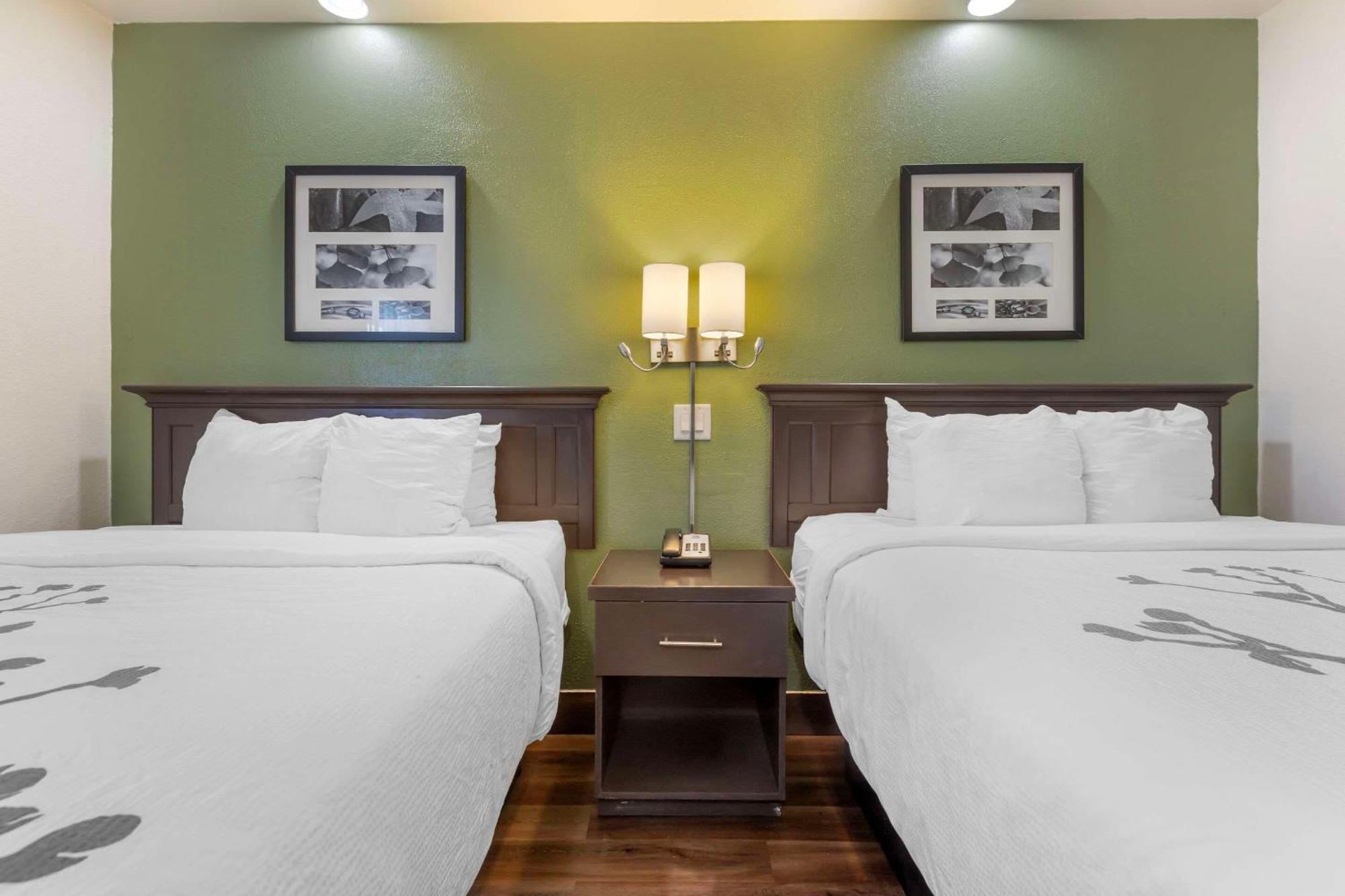 Sleep Inn Sumter Ngoại thất bức ảnh